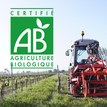 Article_AgricultureBiologique