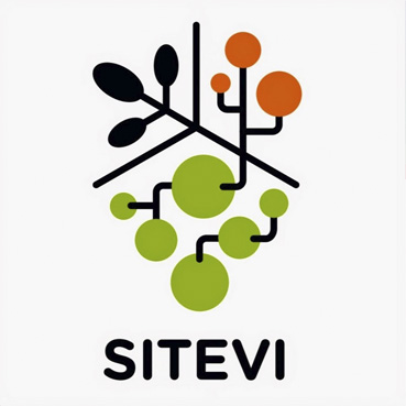 Article_Sitevi2017